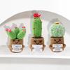 1PC Desktop Ornament Handicraft Hand-Knitted for Friends Positive Energy Creative Gift Cactus Finished Woven Crochet Potted