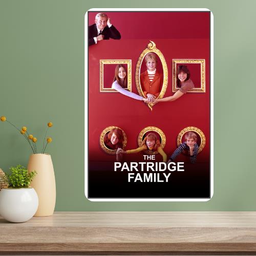 

Partridge Family Metal TV Show Poster Sign 20x30cm（7.8x11.8inch）