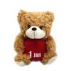 Takeoff Plush Toy January Brown BEAR'S365