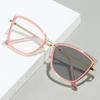 Men's Retro Anti-Blue Light Photochromic Glasses with Double Bridge Metal Frame, Suitable for Prescription Lenses
