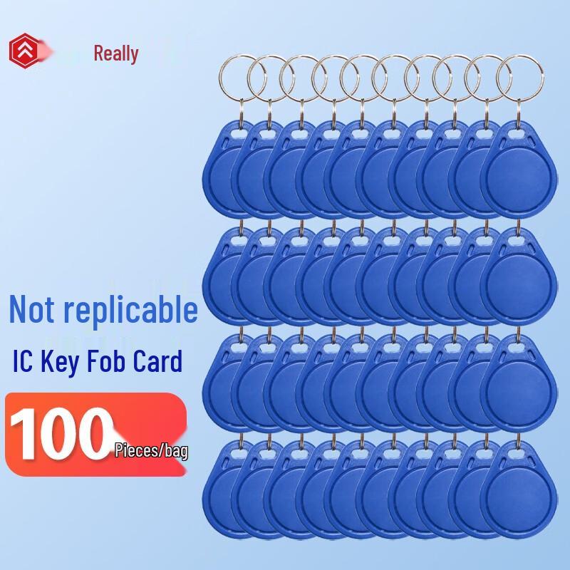 Realand RFID Access Control Key Fobs CN plug (adapter included)