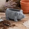 Pig Planter, Pig Shaped Flowerpot, Planter Pots for Indoor Outdoor Plants, Decorative Succulents Pot for Home Yard Garden