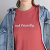 Not Friendly Shirt, Introvert T-Shirt, Funny Anti Social Tee, Sarcastic Graphic Shirt, Funny Adult Humor Cute Quote Tee, Trendy Women's T