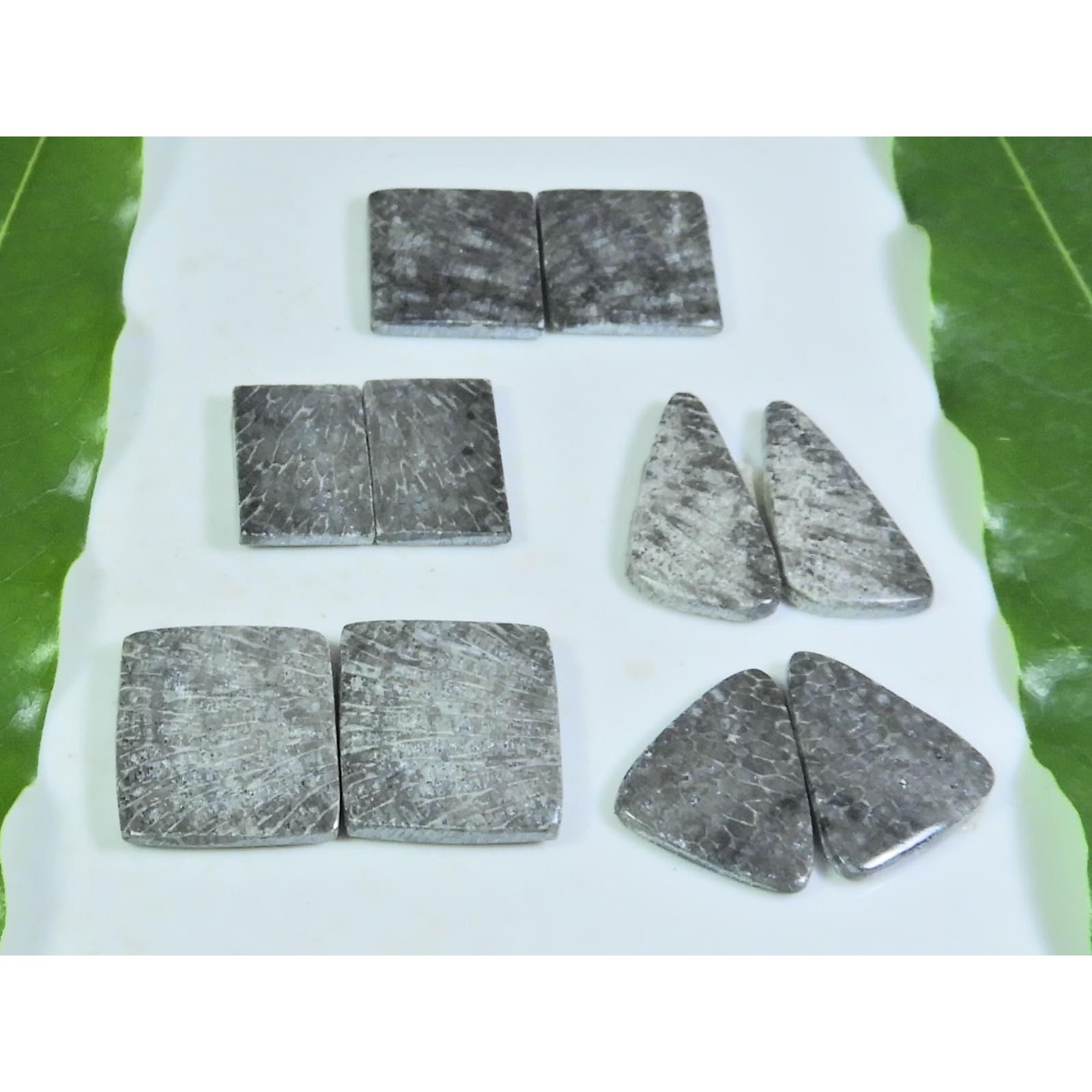 

17-19 MM Natural Fossil Coral Matched Pair Octagon Loose Gemstone 5 Pair Lot A-185
