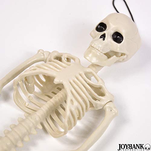 Mode della Casa Skeleton Figure 36cm Toy Skeleton Skull Interior Horror Halloween Goods (Regular Item)