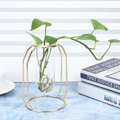 Transparent Hydroponic Plant Vases Flower Pot Tabletop Home Decorations