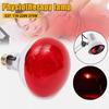 275W Infrared Physiotherapy Heating Bulb – Non-Dazzling Light for Home Therapy and Warming