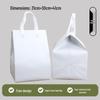 Disposable Insulated Cake Delivery Bag