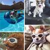 Foldable Pet Sunglasses Adjustable Air Hole Design Dogs Goggles Waterproof Windproof Cat Glasses Photography Prop