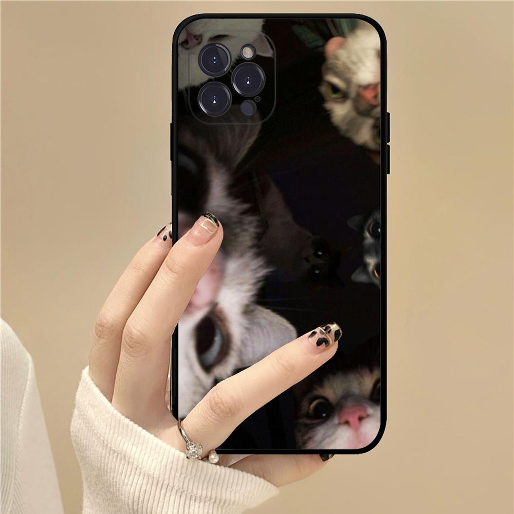 Pet Cat Funny Memes Phone Case For IPhone 16 15 14 11 12 13 Mini Pro XS Max Cover 6 7 8 Plus X Funda Shell