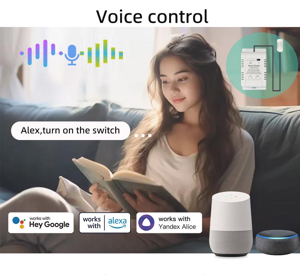 eWeLink Smart Temperature & Humidity Switch, Compatible with Alexa & Google Voice