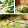 Simple 2L Plant Sprinkler Kettle Plastic Long Mouth Watering Pot with Detachable Spray Head Watering Can Garden Tool