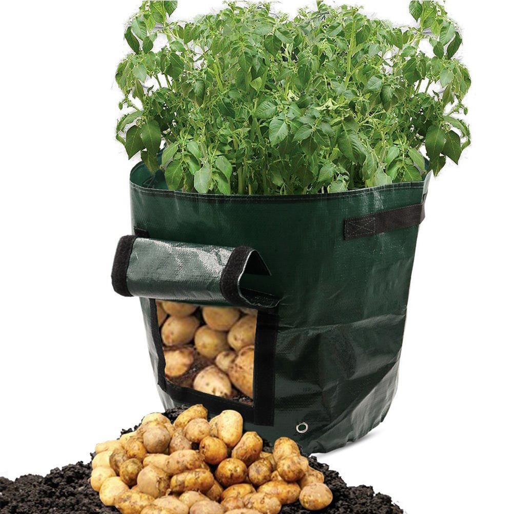 Planteringspåse 10 gallon 35x45 cm Kraftigt tyg Odlingspåse för Potatis Taro Morot Rädisa Grönsaksland Balkong Uteplats