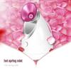 K·SKIN KD2331A Facial Steamer & Hydrating Spray CN Plug (adapter Included)