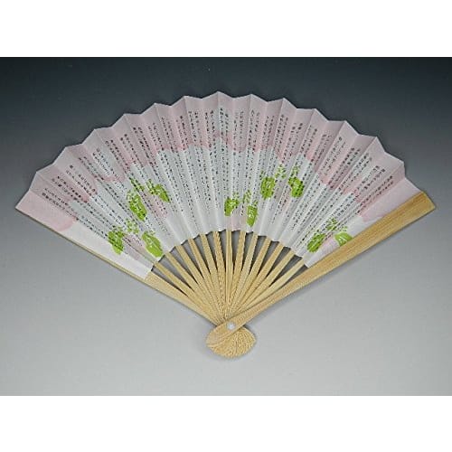 Tea Ceremony Utensils Tea Ceremony Practice Beginner's Set (For Girls)