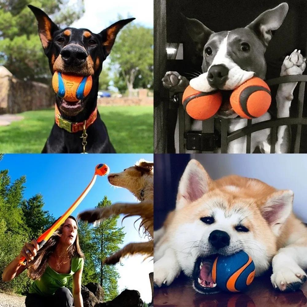 Dog Toy Ball Solid Elastic Fetch Chew Ball, Tough Durable Jumping Interactive Design, Bite Resistant High Elastic Pet Supplies