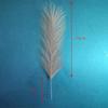 10/20pcs Artificial Pampas Grass Simulation Feather Festival Wedding Prop Reed Hair Home Decoration Ornament Flower Arrangement