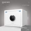 TIGER 30cm Smart Biometric Safe