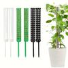 2 Plastic Moss Poles Plant Stakes for Indoor Plants Moss Poles for Monstra Plants and Water Moss Poles
