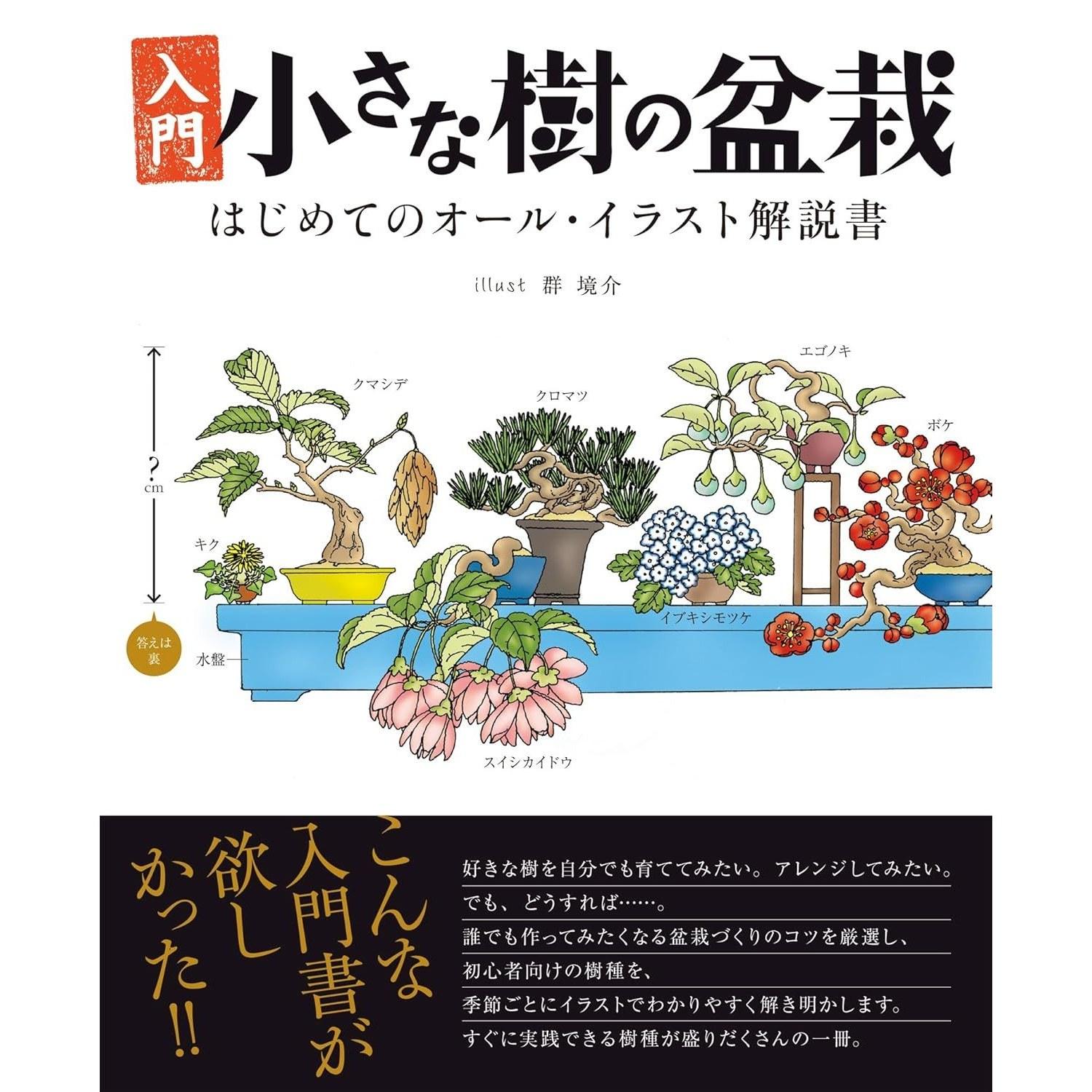 Introduction Small Tree Bonsai