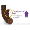 [JSOOP] Purple J Waterglow Hair Essence Oil 100ml / Hair Treatment
