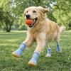Breathable Anti Slip Dog Shoes Adjustable Pet Paw Protector Dog Mesh Shoes  Walking Outdoor
