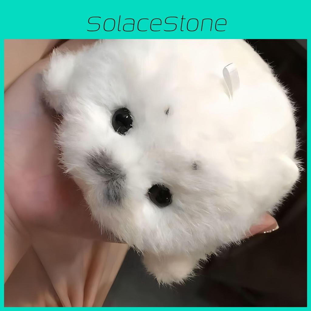 Plüschtier Meeresleben Niedlicher Robbenbaby Plüschtier mit Schlüsselanhänger für Kinder und Sammler