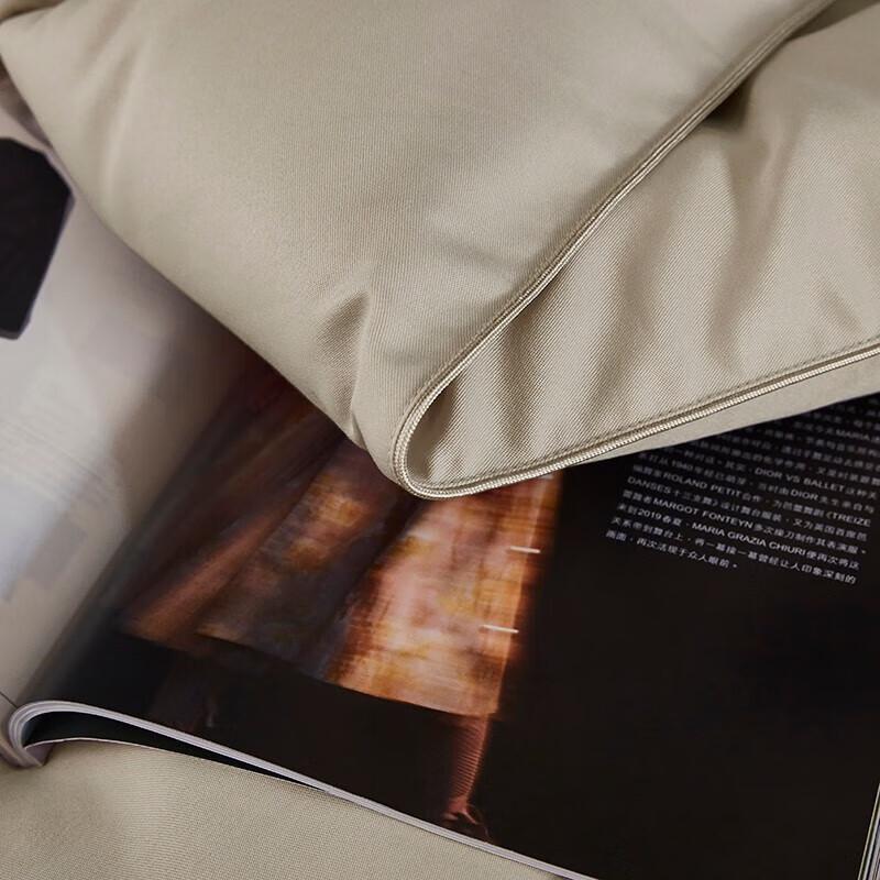 Tangna Home Textiles Warm Velvet Winter Comforter