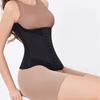 Abdominal Waist Trainer Belt Postpartum Lace Mesh Training Belt Trendy Girdle Body Shaper  Workout