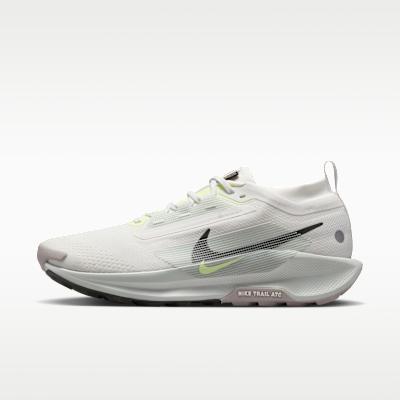 Nike Pegasus Trail 5 Gore-Tex Summit White Light Silver College Grey S