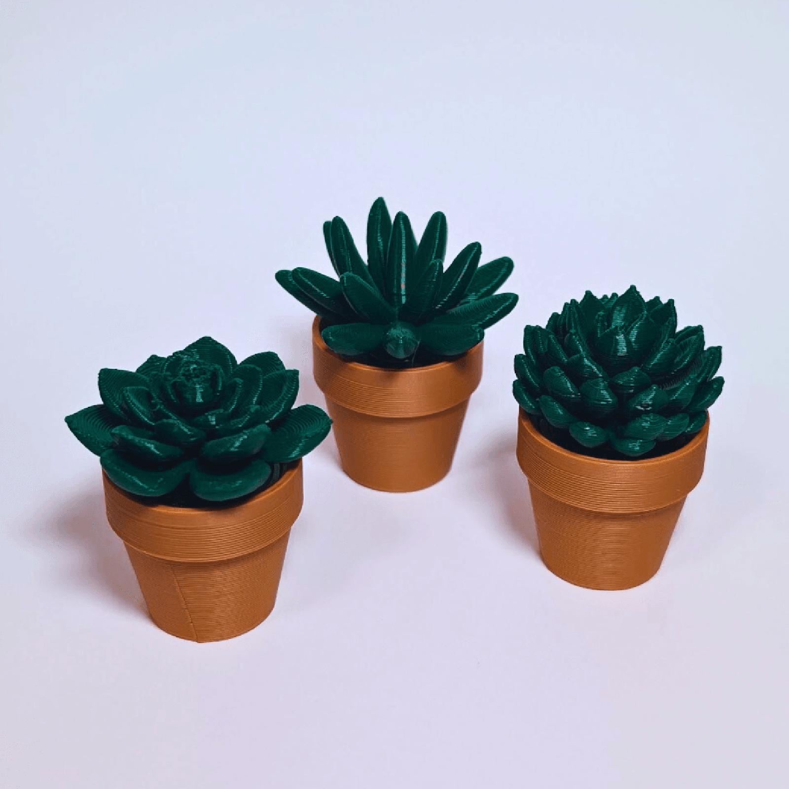 

3D-печать Моделирование Зеленое растение Горшечный кактус Декомпрессионные игрушки Украшения Украшения для дома One Size