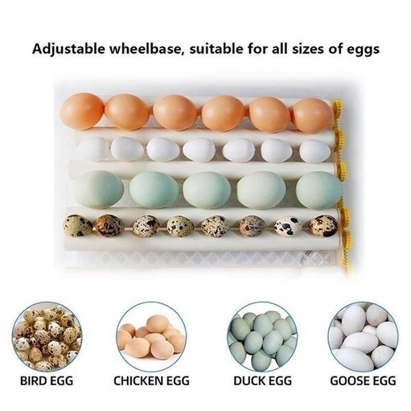 36/56/64PCS Eggs Automatic Incubator Fully Automatic Farm Bird Quail Brooder High precision temperature Control Poultry Hatcher