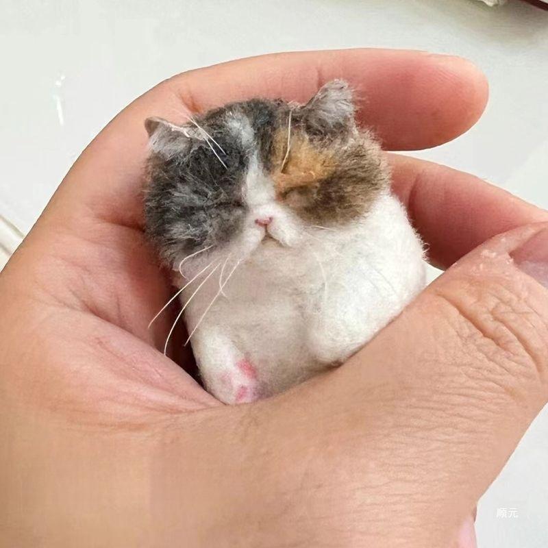 DIY Wool Needle Felting Sheep Felt Poke Cat Bag Creative Animal Gift for Beginners Handmade Simulation Craft Material Bag