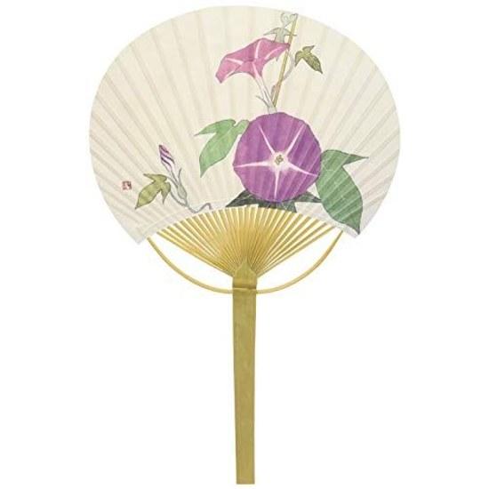 Uchiwa White Background Morning Glory Hiratake Large Approximately 2336.5cm