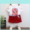 Trendy Summer Outfit Set For Boys Stylish Two Piece Cotton Clothing For Little Kids