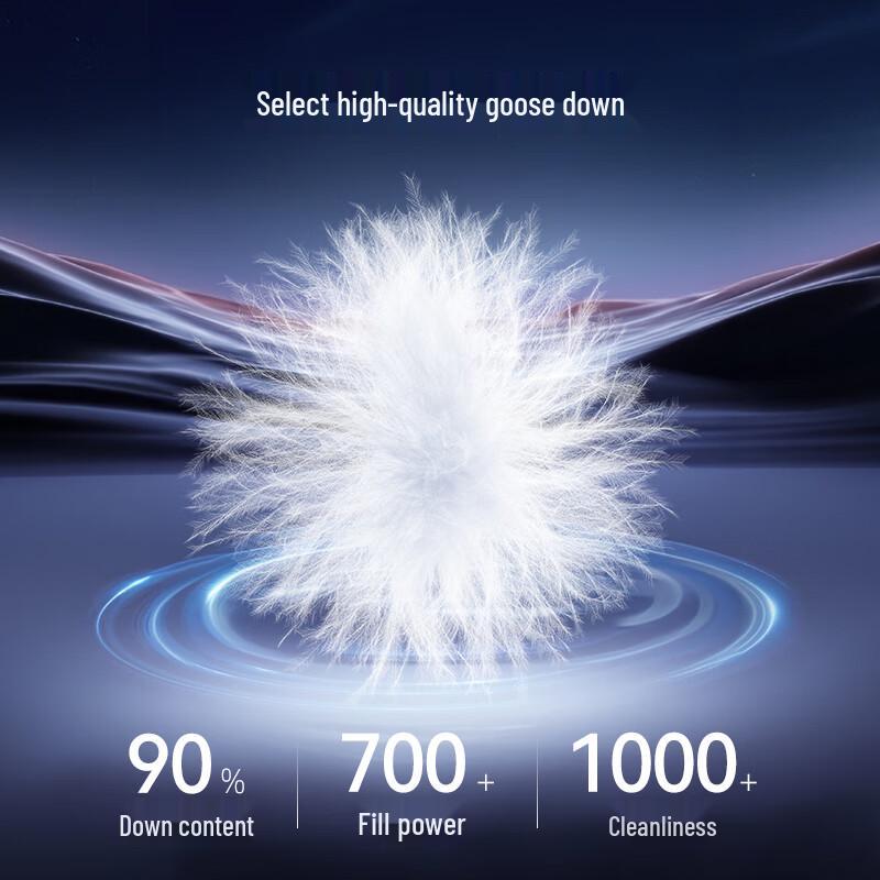 Qianrengang Unisex Hooded Goose Down Jacket Y318739Y