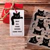 PVC Plastic Stamps for DIY Scrapbooking Photo Album Decorative Cards Making Stamp Sheets Cat Pattern 16x11x0.3cm