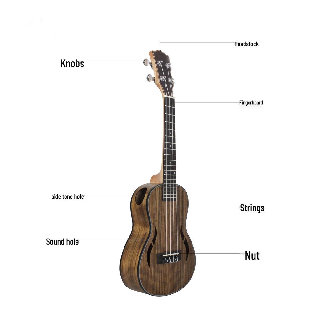 Walnuss Anfänger Ukulele - 23 & 26 Zoll Vier-Saiten Kleine Gitarre