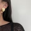S925 Silver Needle Unique European & American Earrings - 2024 Trendy Metallic Pleated Ear Studs for Women