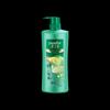 Hazeline Oil Control Anti-Dandruff Shampoo Y22