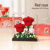Champagne Rose Potted Plant Model - Dream Flower Box Building Blocks Toy Gift (2025 Edition)