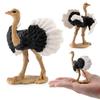 Childrens Bird Animal Model Pvc Realistic Australian Ostrich Baby Figurine For Educational Play And Farm Decor