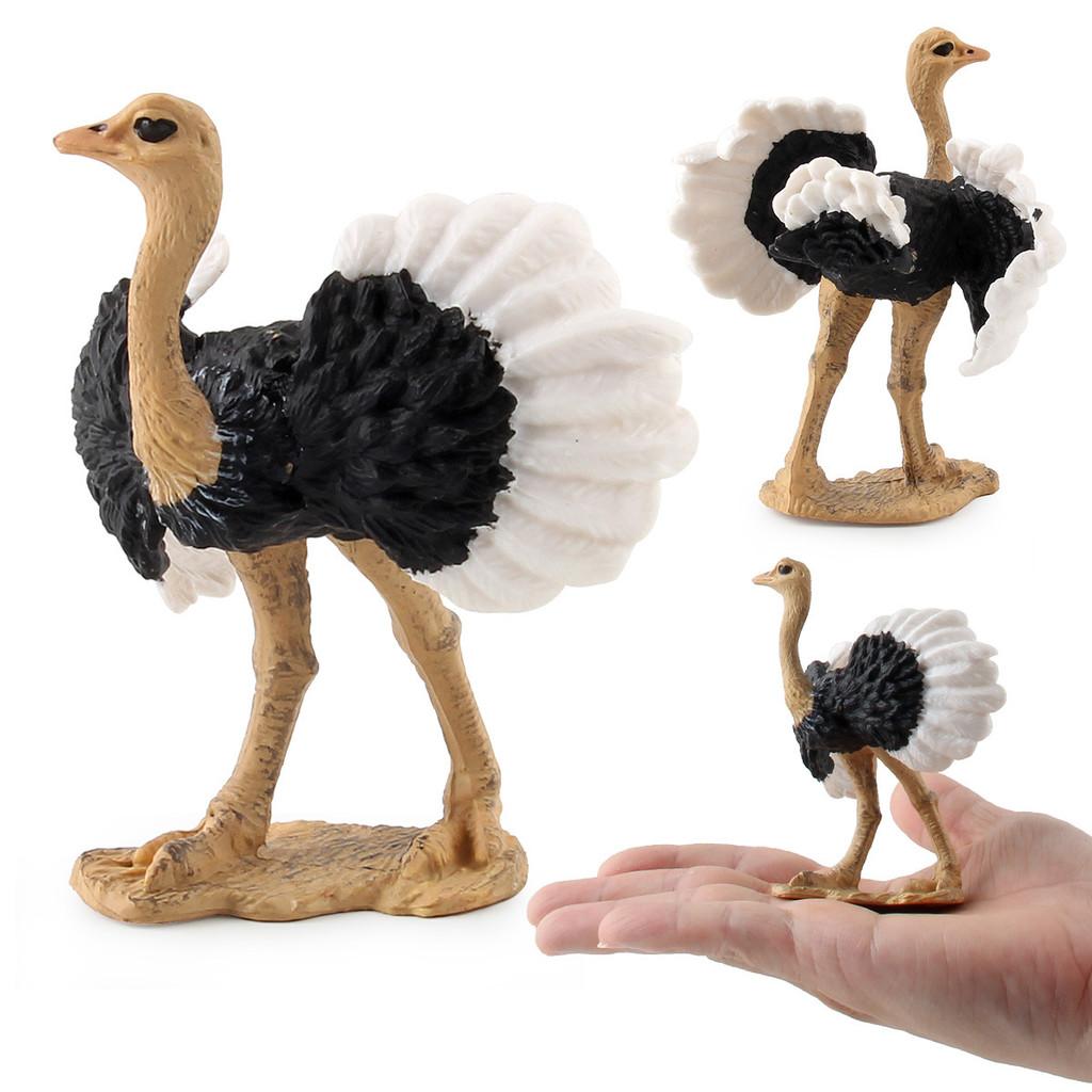 Childrens Bird Animal Model Pvc Realistic Australian Ostrich Baby Figurine For Educational Play And Farm Decor