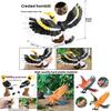 Wildlife Animal Model Solid Plastic Parrot Bird Display Figure For Kids Playroom Decor