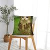 Internetberühmte Meowl Katze Eule Meme Kissenbezug Mode Kissenbezug Bequeme Kissenbezüge für Sofa Auto Heimdeko