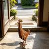 Metal Bird Statue Garden Piece for Gate Post and Porch Entry, 13 x 25 cm Iron Animal Figure for Flower Bed and Yard Display Outdoor Use
