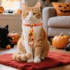 Halloween Dog Tie Collar Pets Pumpkin Ghost Necktie Adjustable Necktie Collar for Cat Doggy Festive Holiday Dress-up Accessories