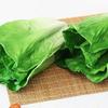 Artificial Lettuce Simulation Fake Vegetable Home Bedroom Party Collect