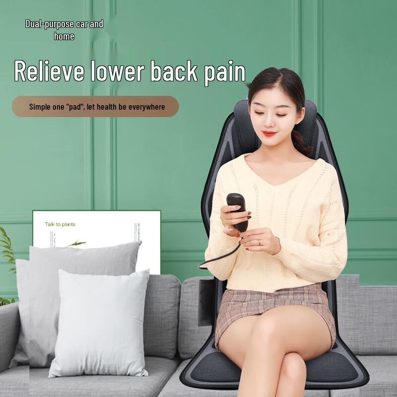 Enlong Electric Massage Cushion