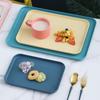 Multi-use Large Tray Capacity Serving Plastic Practical Food-grade Storage Tray for Home